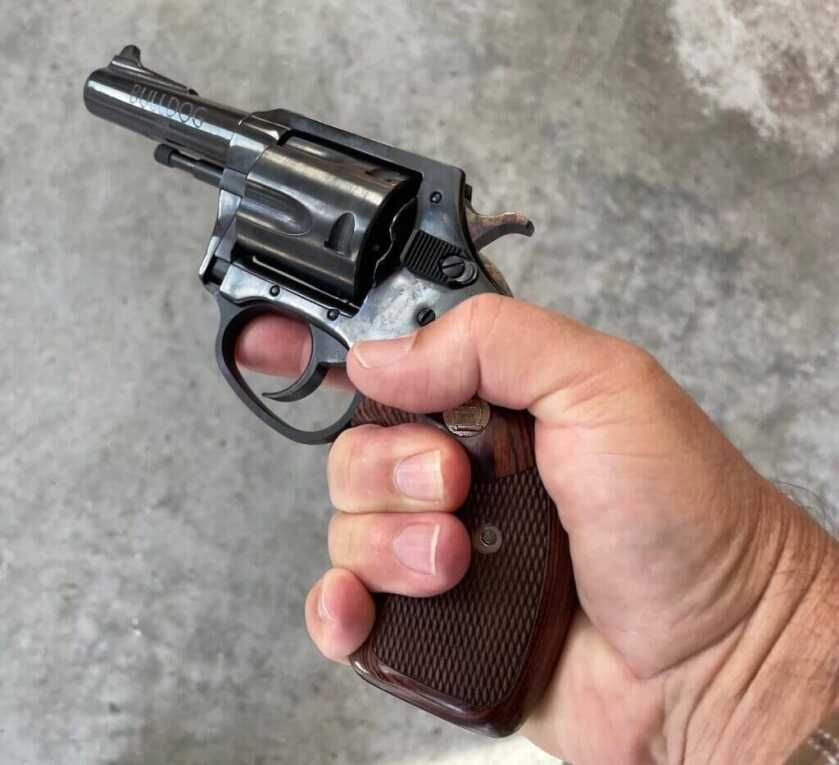 charter arms bulldog in hand