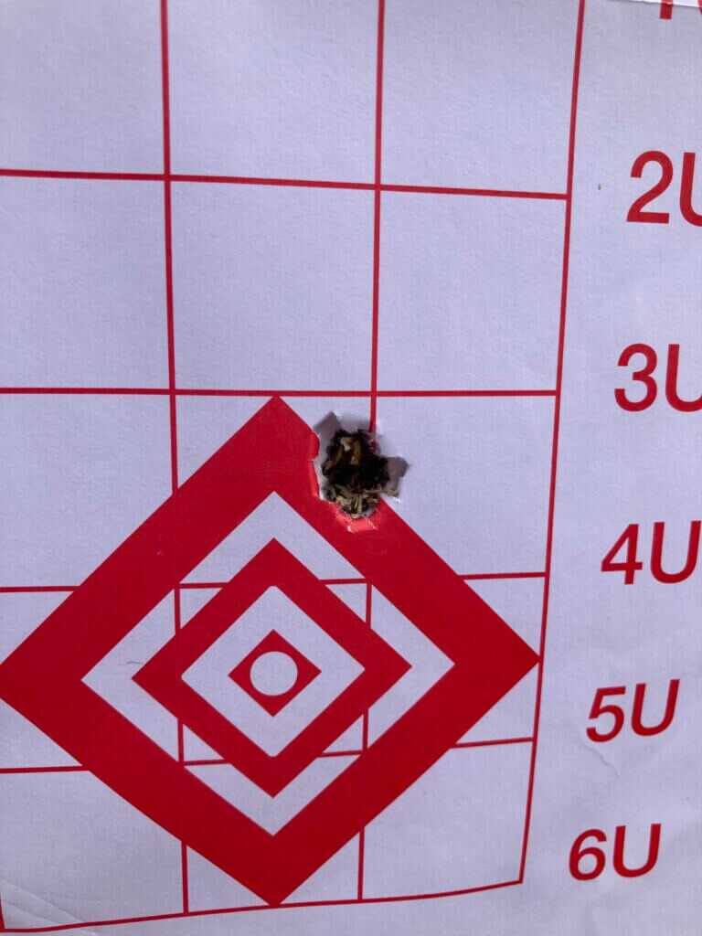 .170 inch three shot group.