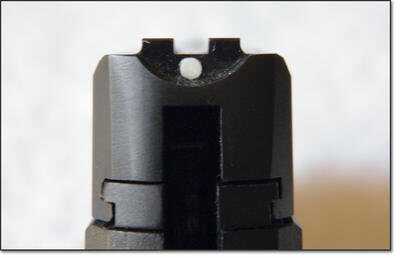 Taurus TCP rear sight