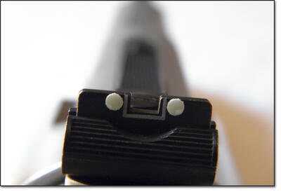 S&W revolver rear sight