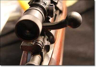 American Tactical Imports ATI 1911 .22 Rimfire with Fake Silencer- New Gun Review