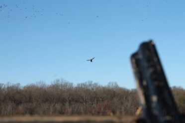 Mosserberg Silver Reserve II, duck hunting, Arksnas