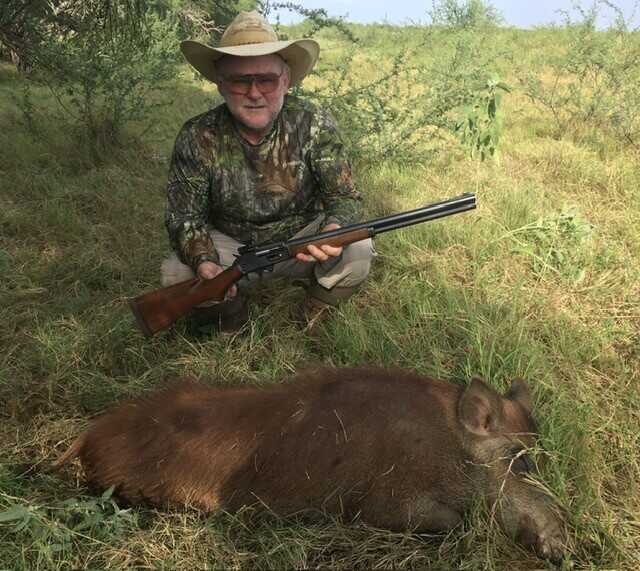 Pig taken at 100 plus yards with 50 Alaskan Marlin 336 conversion