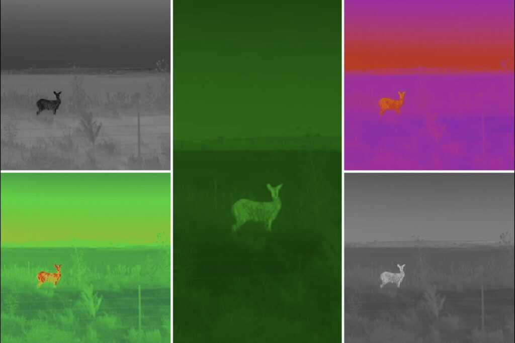 Dark 30 Defiance PTZ deer image shown across color palettes white hot black hot rainbow magenta green