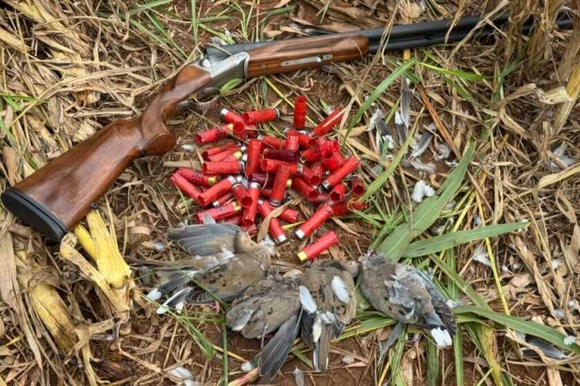 gun withshotgun shells. Triple Crown