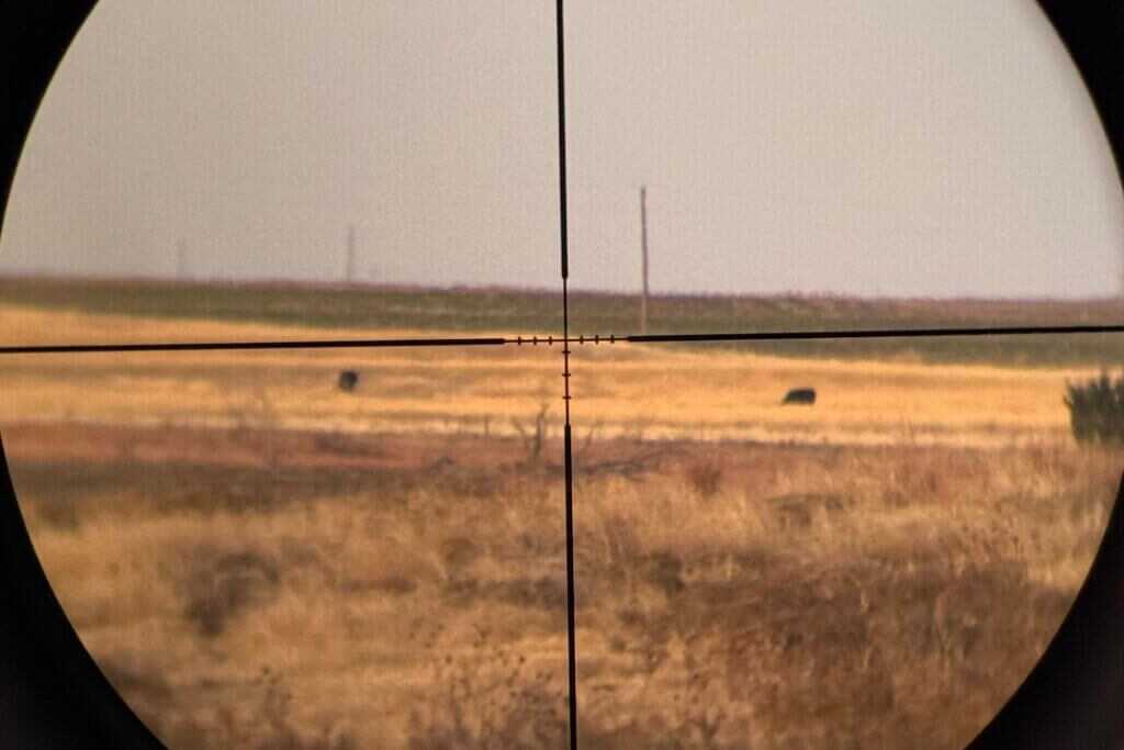 Vortex Dead-Hold BDC reticle in the Triumph HD 3-9x40 showing holdover hash marks for hunting distances