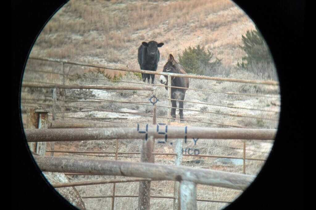 View through the Vortex Triumph HD 850 rangefinder display during field testing