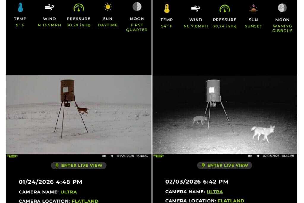 Tactacam REVEAL app interface showing weather data and scouting information