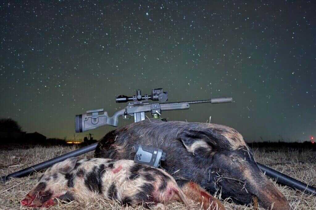Wild pigs viewed through the Vortex Veil 400 thermal monocular while they tear up farmland at night