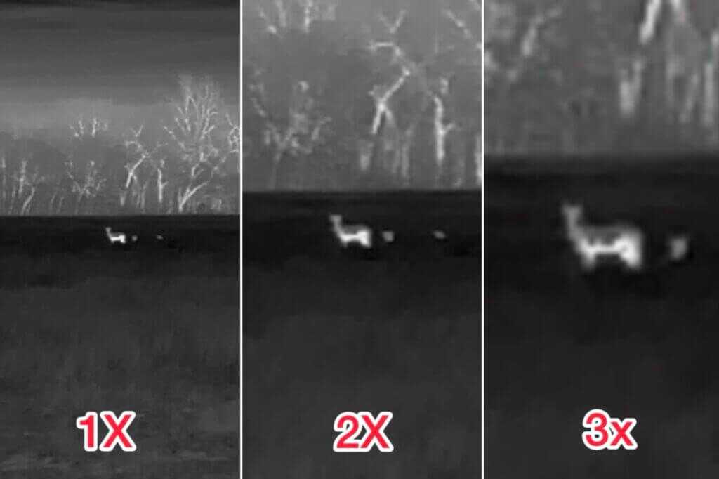 Vortex Veil 400 display view of deer at roughly 100 yards showing actual thermal image and zoom equivalents
