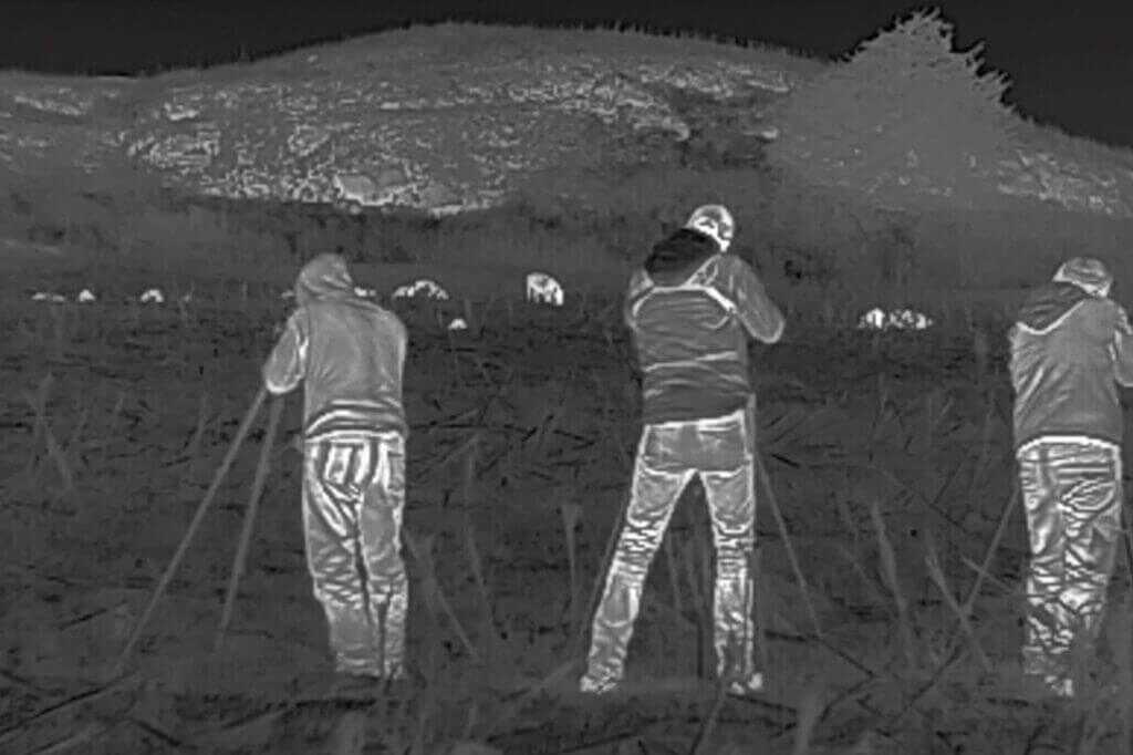 Vortex Veil 400 recorded thermal screenshot showing hunters moving up on a group of wild pigs at night