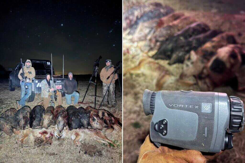 Night hog hunt success image with hunters using the Vortex Veil 400 thermal monocular to spot and stalk pigs