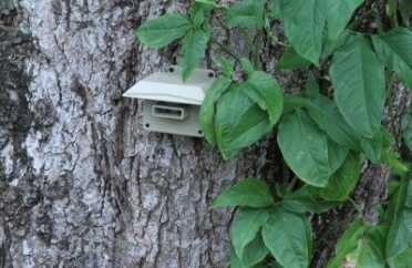 The other kind of wireless is motion detection. I selected these heavy duty rainproof sensors from Chamberlain. 