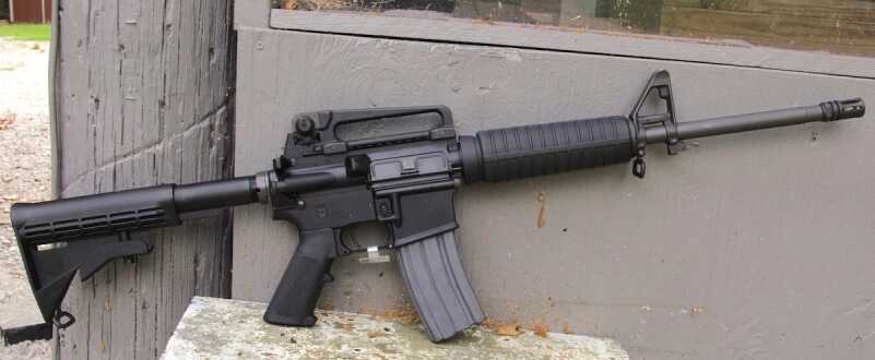 The author tested the CE2000 variant of the Expanse that comes with the forward assist and dustcover door. He added the carry handle/rear sight system.