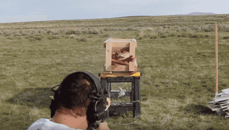 An AR for Home Defense? Clay, Drywall, Raw Meat & A Myth Busted!