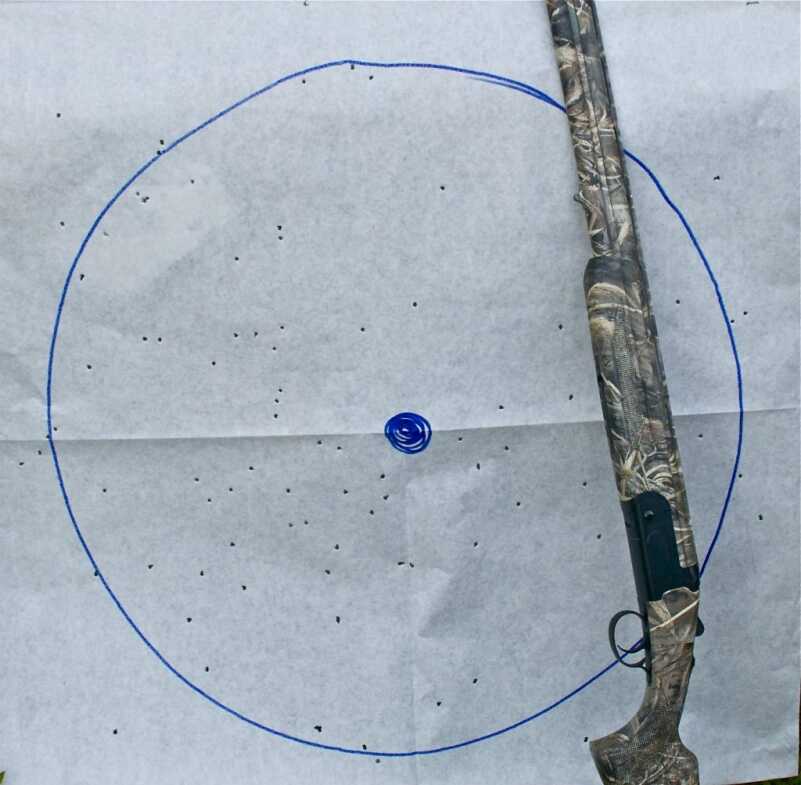 Waterfowl Artillery: CZ Swamp Magnum