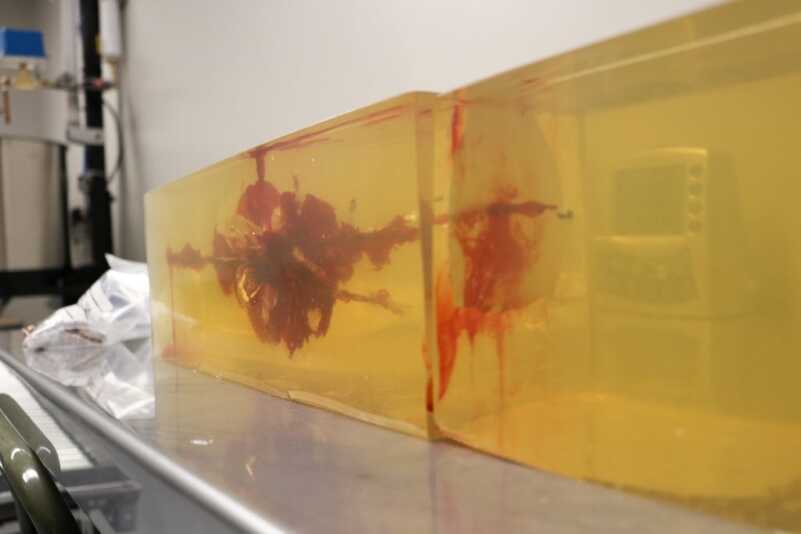 Behind the Scenes: SIG Sauer Ammo Plant