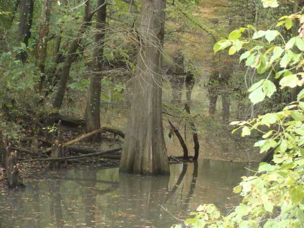 How To Make Sure You Only Get Lost When You Want To