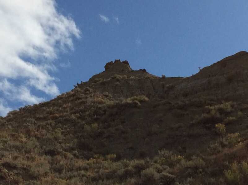 Lessons Learned the Hard Way: Part II