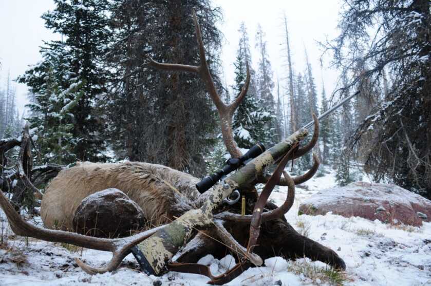 Kimber Subalpine Mountain Rifle