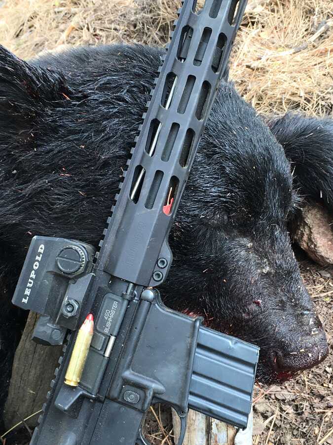 The New Big Boy on the Block: Ruger AR-556 MPR in 450 Bushmaster