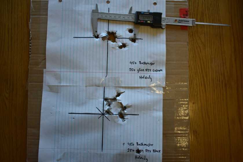 The New Big Boy on the Block: Ruger AR-556 MPR in 450 Bushmaster