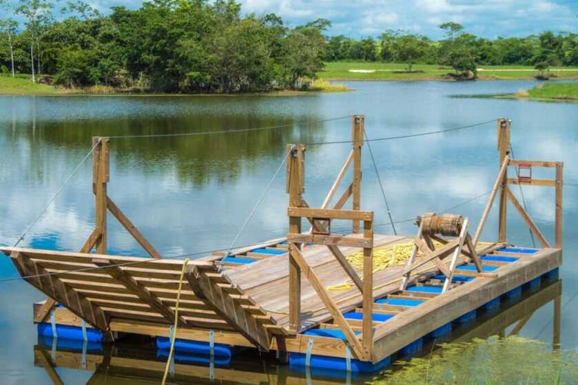 The Life and Times of the Brain-Damaged Gunslinger Clay Allison