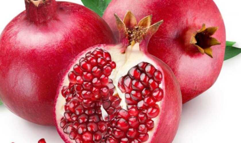 Frag Out! High Explosive Snowballs