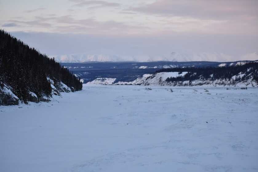 Last Frontier Bison: Hunting Alaska's Largest Land Mammal