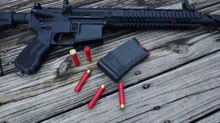 The Charles Daly AR .410 - Small Bore Madness