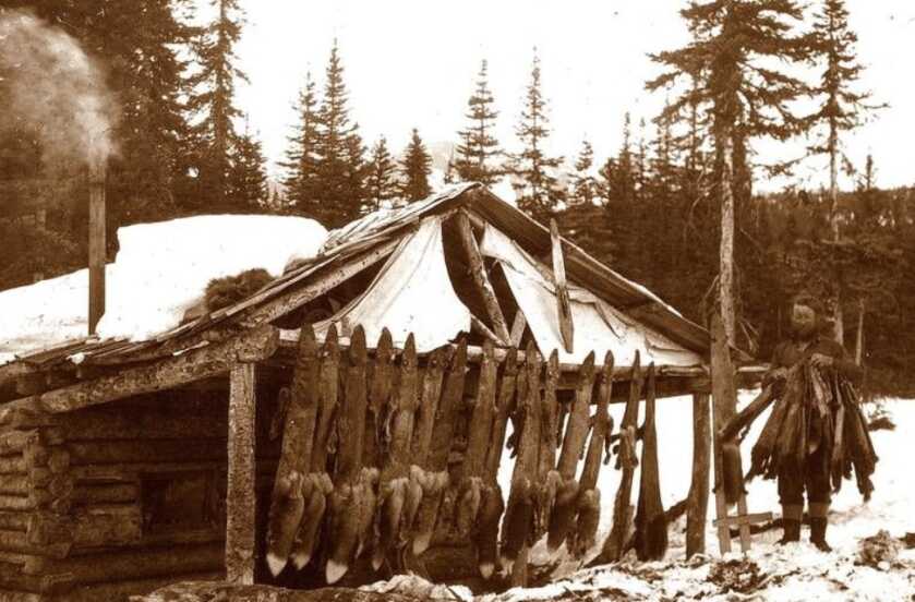 Albert Johnson: The Mad Trapper of Rat River