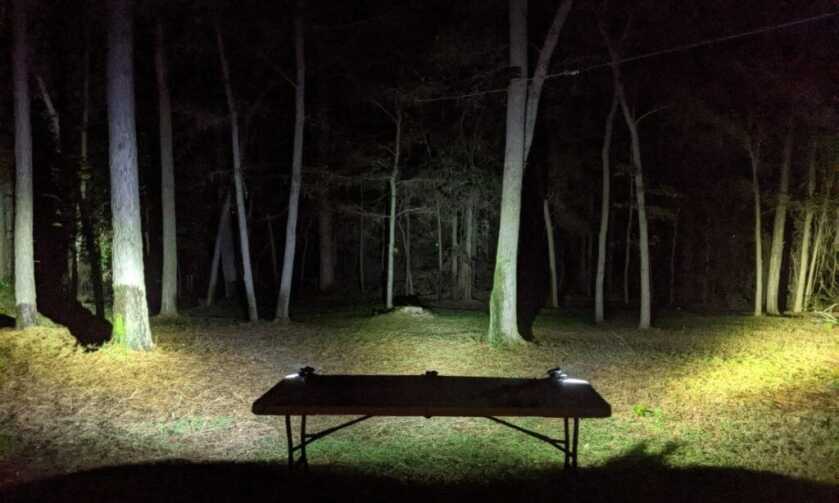 3 Crimson Trace lights compared at night shining on trees