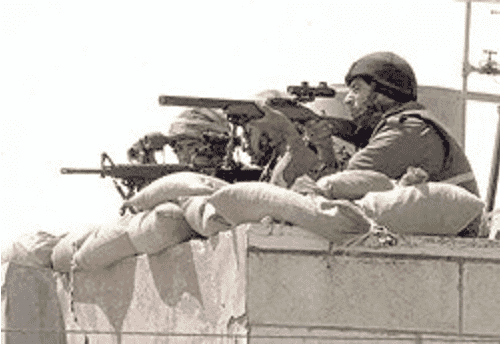 Dr. Dabbs - The .22 Rimfire's Lethality at Work & at Play