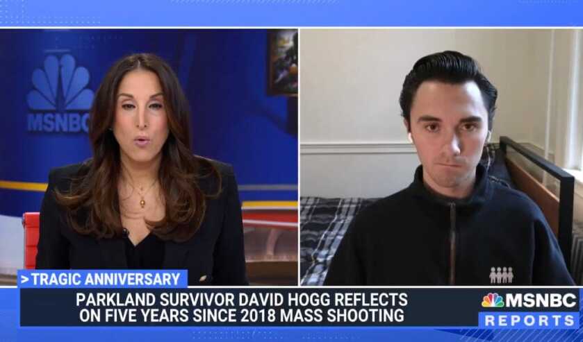 David Hogg on MSNBC