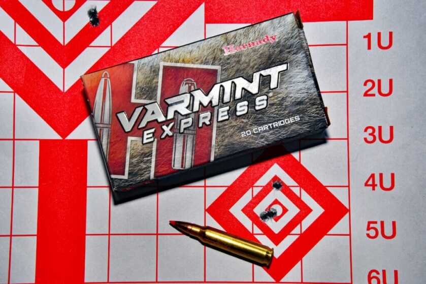 Hornady Varmint Express ammunition.