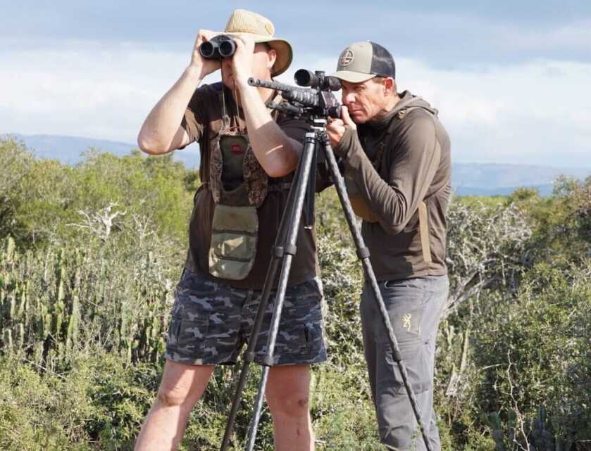 Two hunters looking through scopes in brushy field