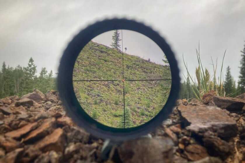Vortex 2-10X42 reticle looking at trees on top of mountain