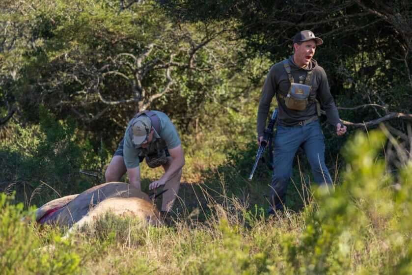 Hunters in shady green area