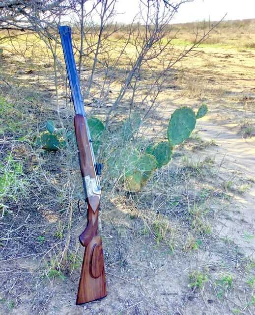 Old School Guns Part 2 - shotgun leaning on bush