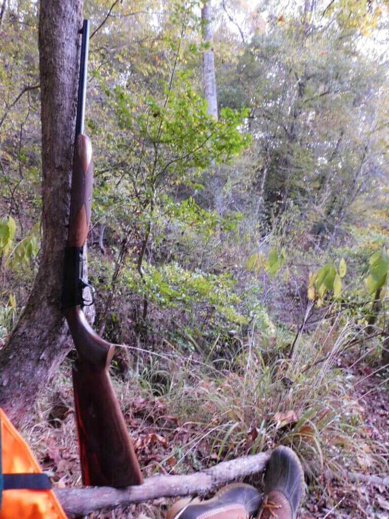 22 rimfire rifle for squirrel hunting