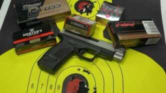 4.0 performed well with a variety of ammo.