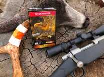 3 - Hunt365 - TAKE THE SHOT: Buck In the Grapevines