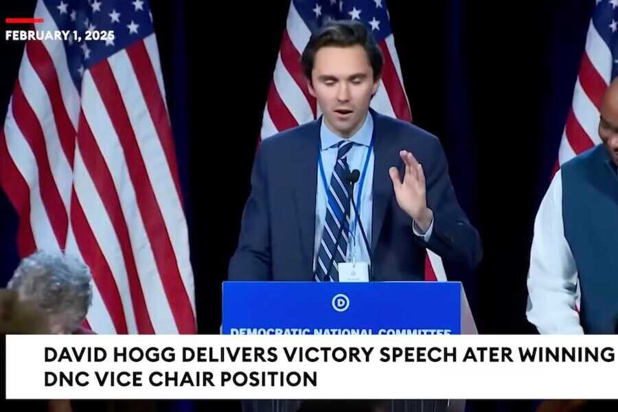 David Hogg is now Vice Chair of the DNC.