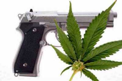 Ninth Circuit Appeals Court Says No to Guns for Medical Marijuana Users marijuana_gun_law