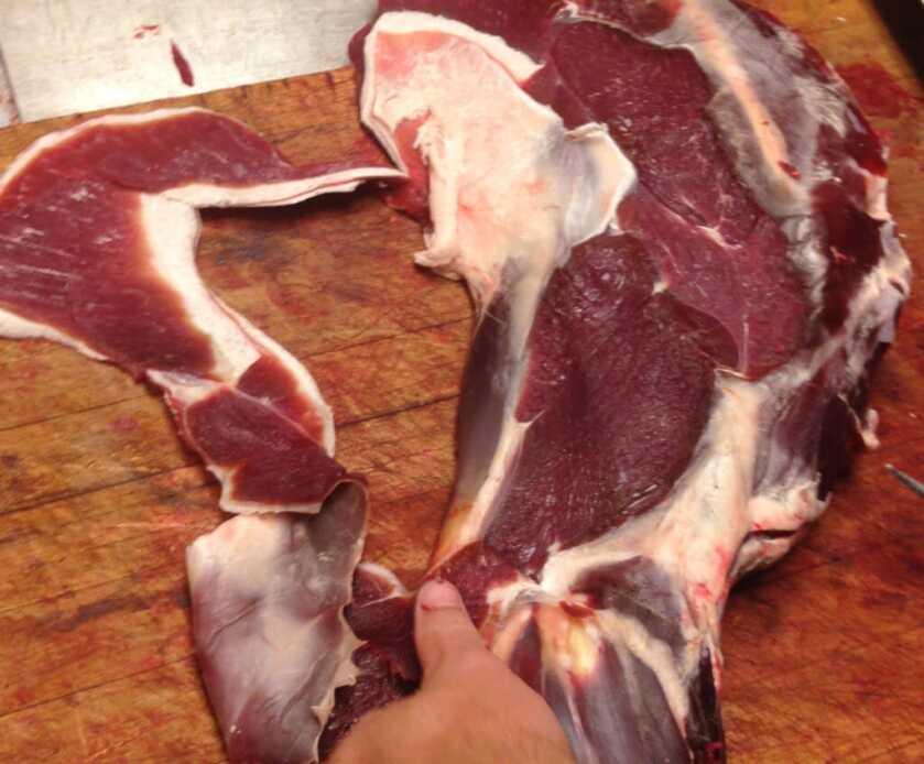 Field To Freezer- Locavore Meat Processing Field To Freezer- Locavore Meat Processing