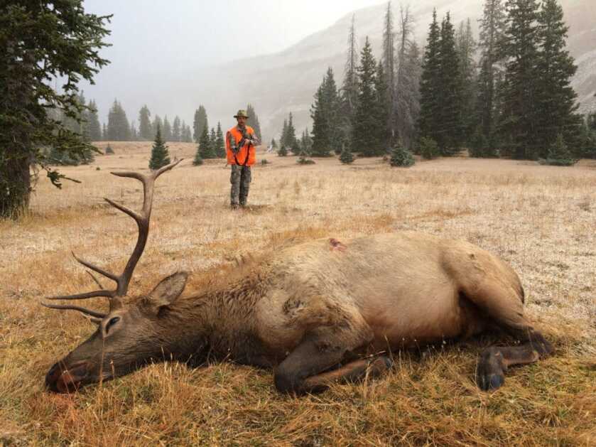 Best Big Game Cartridge: Big and Hard-Hitting, or Small and Sweet Shooting? Best Big Game Cartridge: Big and Hard-Hitting, or Small and Sweet Shooting?