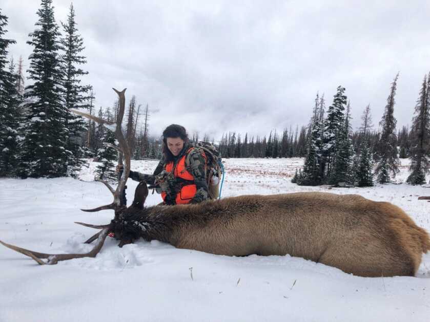 Best Big Game Cartridge: Big and Hard-Hitting, or Small and Sweet Shooting? Best Big Game Cartridge: Big and Hard-Hitting, or Small and Sweet Shooting?