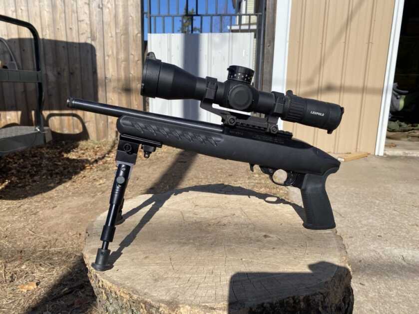 2 - A Tale of Two Customer Services Ruger Charger on a stump