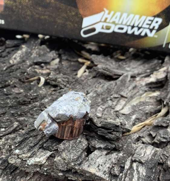 Review - Federal HammerDown ammunition Review - Federal HammerDown ammunition