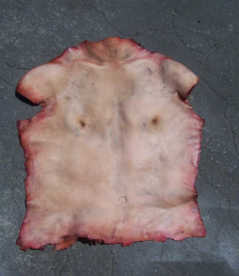 3-Will-Flayed Alive: It Seems Karma is a Real Thing 3-Will-Flayed Alive: It Seems Karma is a Real Thing